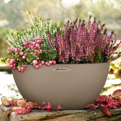 Lechuza 'Cubeto Stone 40', sandbeige, ca. Ø 40 x H 18,3 cm Lechuza 'Cubeto Stone 40', sandbeige, ca. Ø 40 x H 18,3 cm