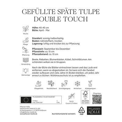 Gefüllte späte Tulpen 'Double Touch', rosa/weiß, 7 Blumenzwiebeln