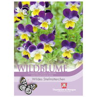 Thompson & Morgan Wildblume Wildes Stiefmütterchen, bunt