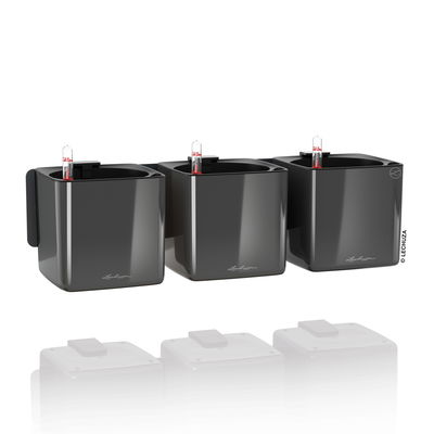 Lechuza 'Green Wall Home Kit Glossy', anthrazit highgloss