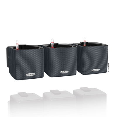 Lechuza 'Green Wall Home Kit Color', schiefergrau, ca. 48 x 15 x H 14 cm