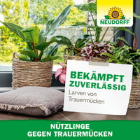 Neudorff Bestell-Set Nützlinge gegen Trauermücken, 5 Mio Stück Neudorff Bestell-Set Nützlinge gegen Trauermücken, 5 Mio Stück