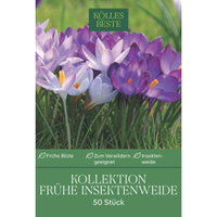 Elfenkrokus-Mischung Kollektion 'Frühe Bienenweide', 50 Blumenzwiebeln Elfenkrokus-Mischung Kollektion 'Frühe Bienenweide', 50 Blumenzwiebeln