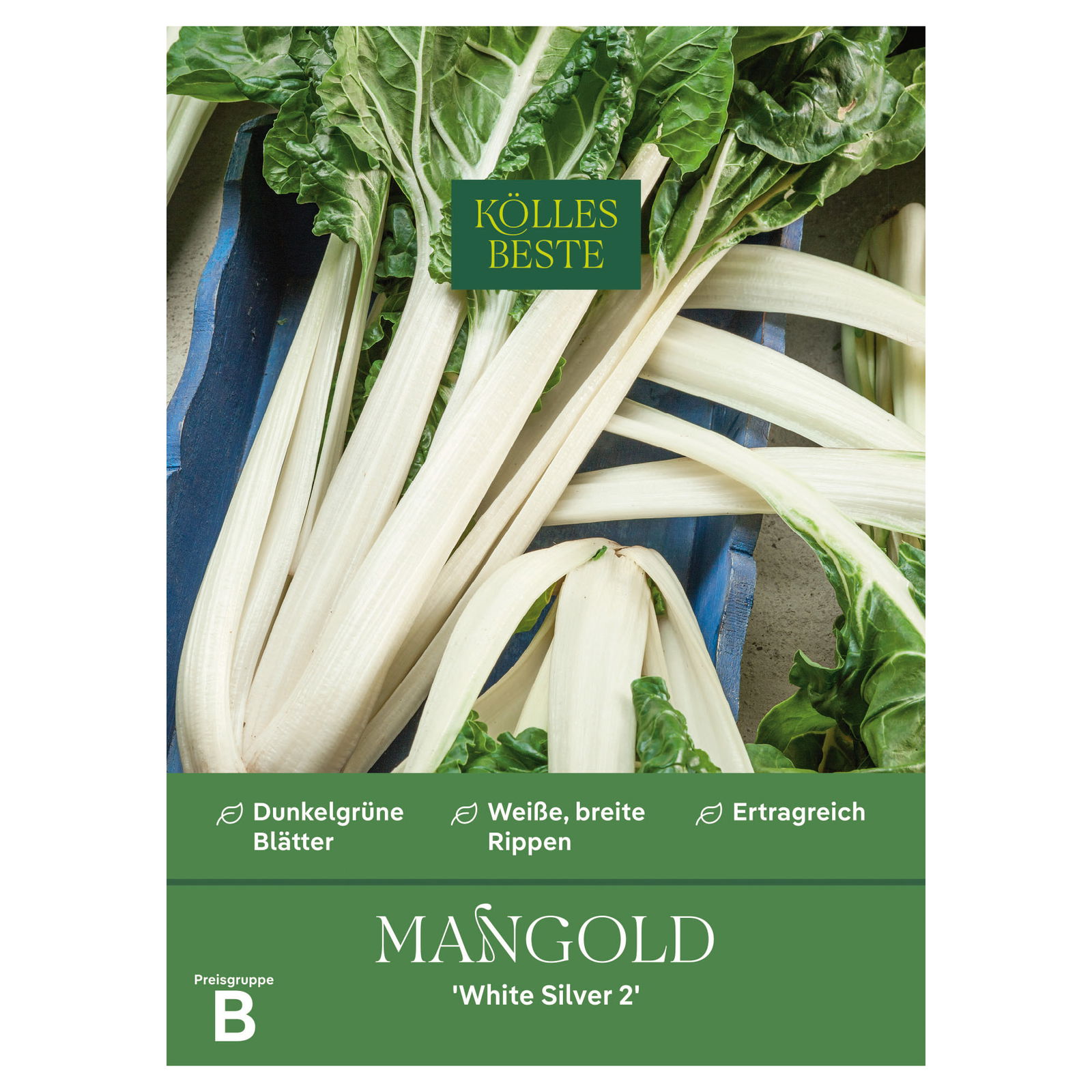 Kölles Beste Gemüsesamen, Mangold Kölles Beste Gemüsesamen, Mangold