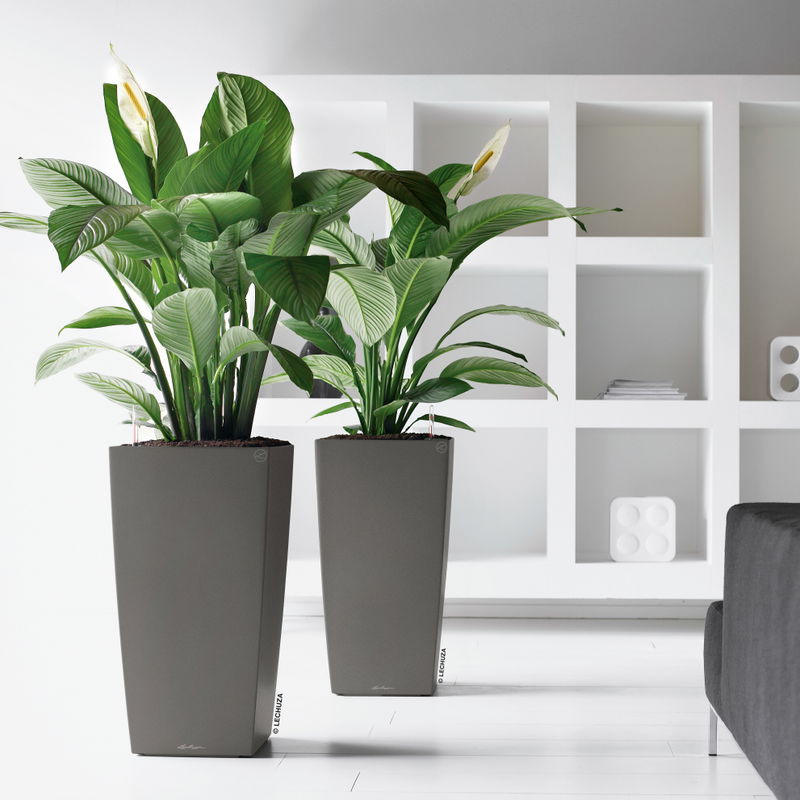 Fioriera Balconera Lechuza Color Capri - 50 Cm, Con Sistema Di Irrigazione E Inserti Intercambiabili, Per Balconi E Terrazzi - 2
