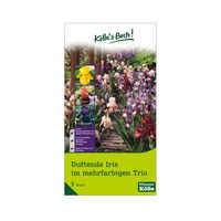 XXL Duftende Iris Mischung mehrfarbig, 3 Blumenzwiebeln