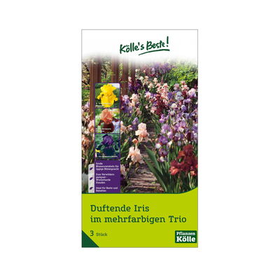 XXL Duftende Iris Mischung mehrfarbig, 3 Blumenzwiebeln XXL Duftende Iris Mischung mehrfarbig, 3 Blumenzwiebeln