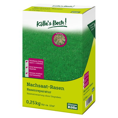 Kölles Beste Rasennachsaat 0,25 kg Kölles Beste Rasennachsaat 0,25 kg