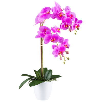 Kunstpflanze Phalaenopsis, lila, Höhe ca. 56 cm Kunstpflanze Phalaenopsis, lila, Höhe ca. 56 cm