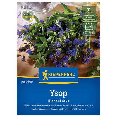 Saatgut, Ysop, grün & blau