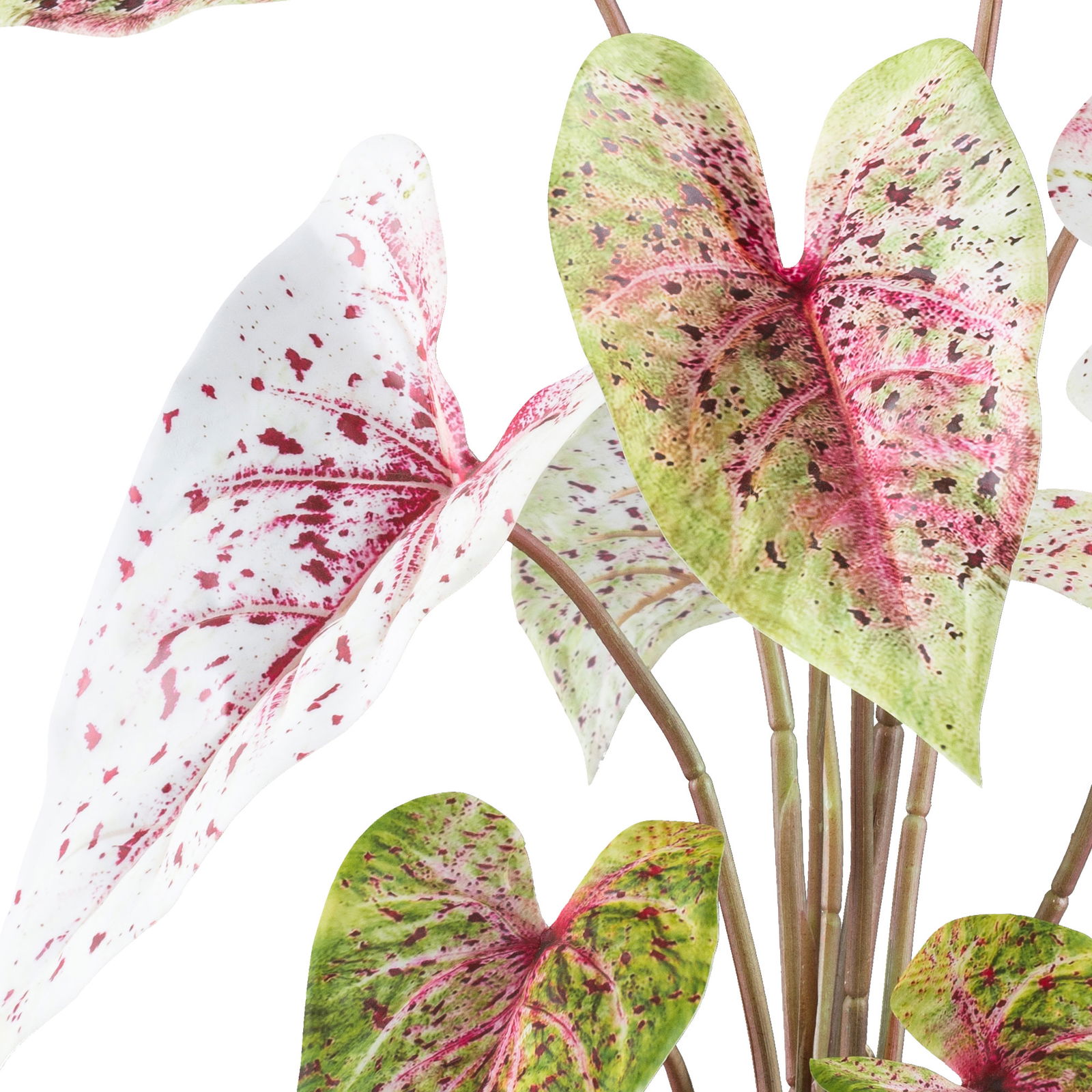 Kunstpflanze Caladium 'Miss Muffet' im Topf, Höhe ca. 55 cm