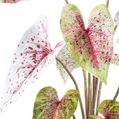 Kunstpflanze Caladium 'Miss Muffet', Höhe ca. 55 cm