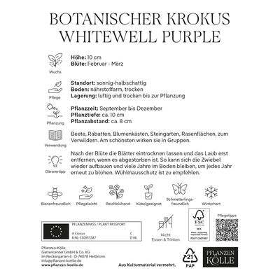 botanische Krokusse 'Whitewell Purple', lila, 25 Blumenzwiebeln botanische Krokusse 'Whitewell Purple', lila, 25 Blumenzwiebeln