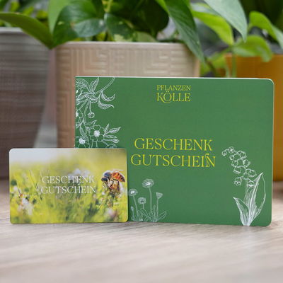 Gutschein-Karte 'Biene' Gutschein-Karte 'Biene'