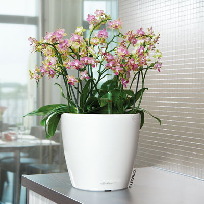 Lechuza 'Classico Premium LS 35', weiß, ca. Ø 35 x H 33 cm