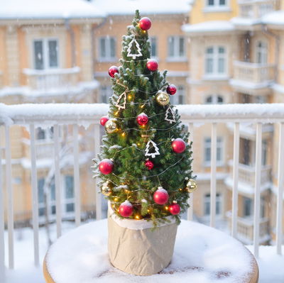 Weihnachtsbäumchen inkl. Deko, rot-gold, Höhe ca. 80 cm, Topf-Ø 25 cm