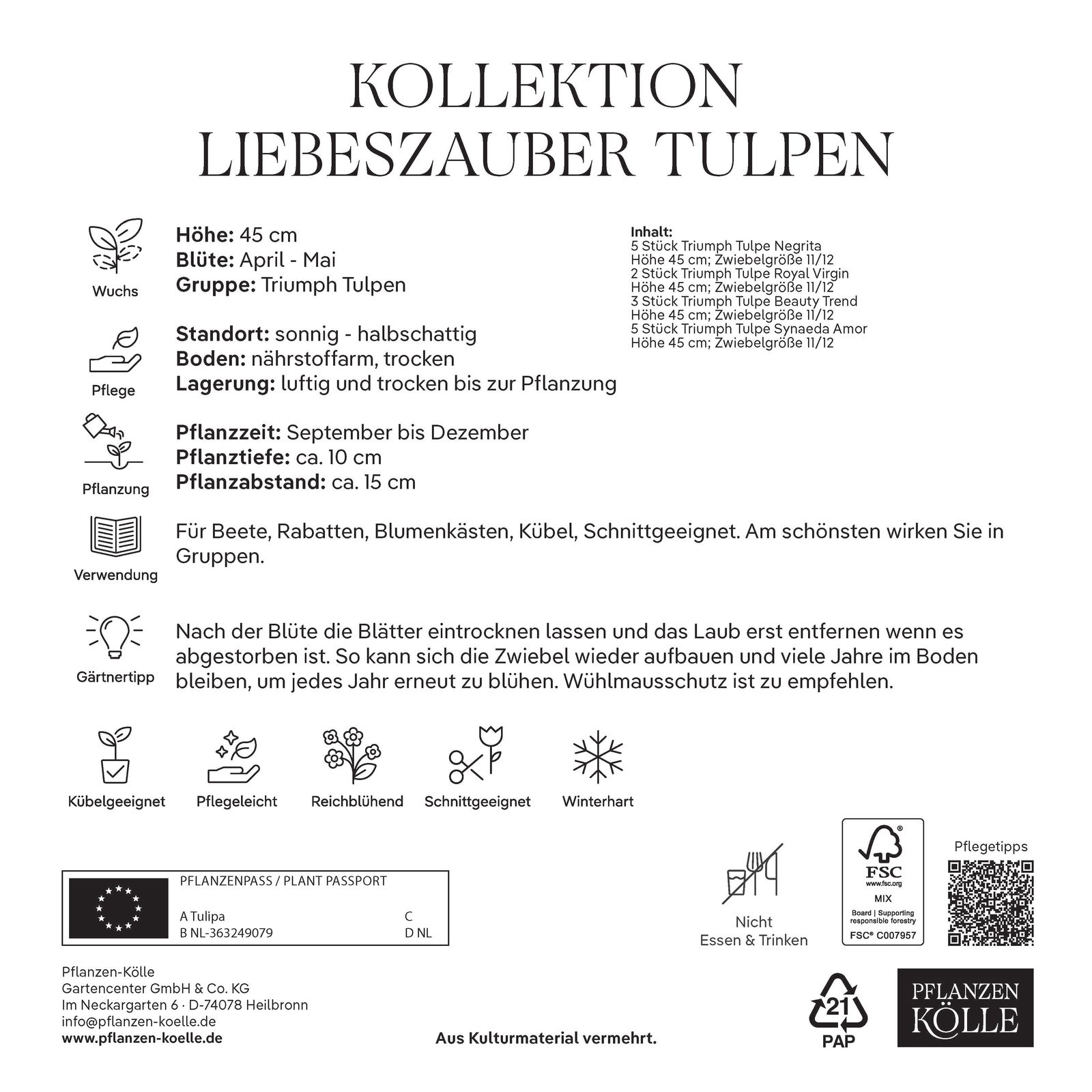 Tulpen-Mischung Liebeszauber, 15 Blumenzwiebeln