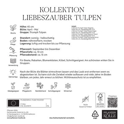 Tulpen-Mischung Liebeszauber, 15 Blumenzwiebeln