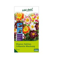 XXL Mignon Dahlien Collarette, kleinblumig, 3 Blumenknollen