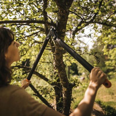 Getriebe-Astschere 'Bypass'