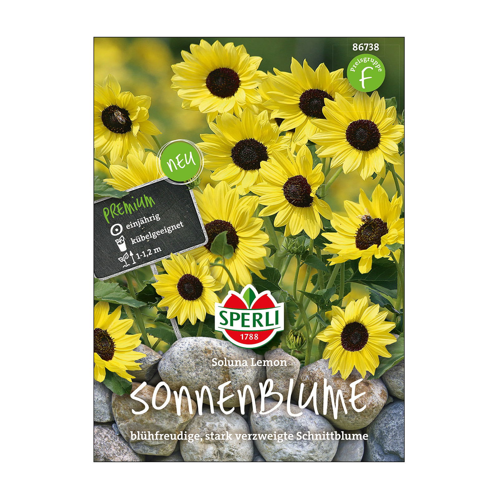 Blumensamen, Sonnenblume 'Soluna Lemon'