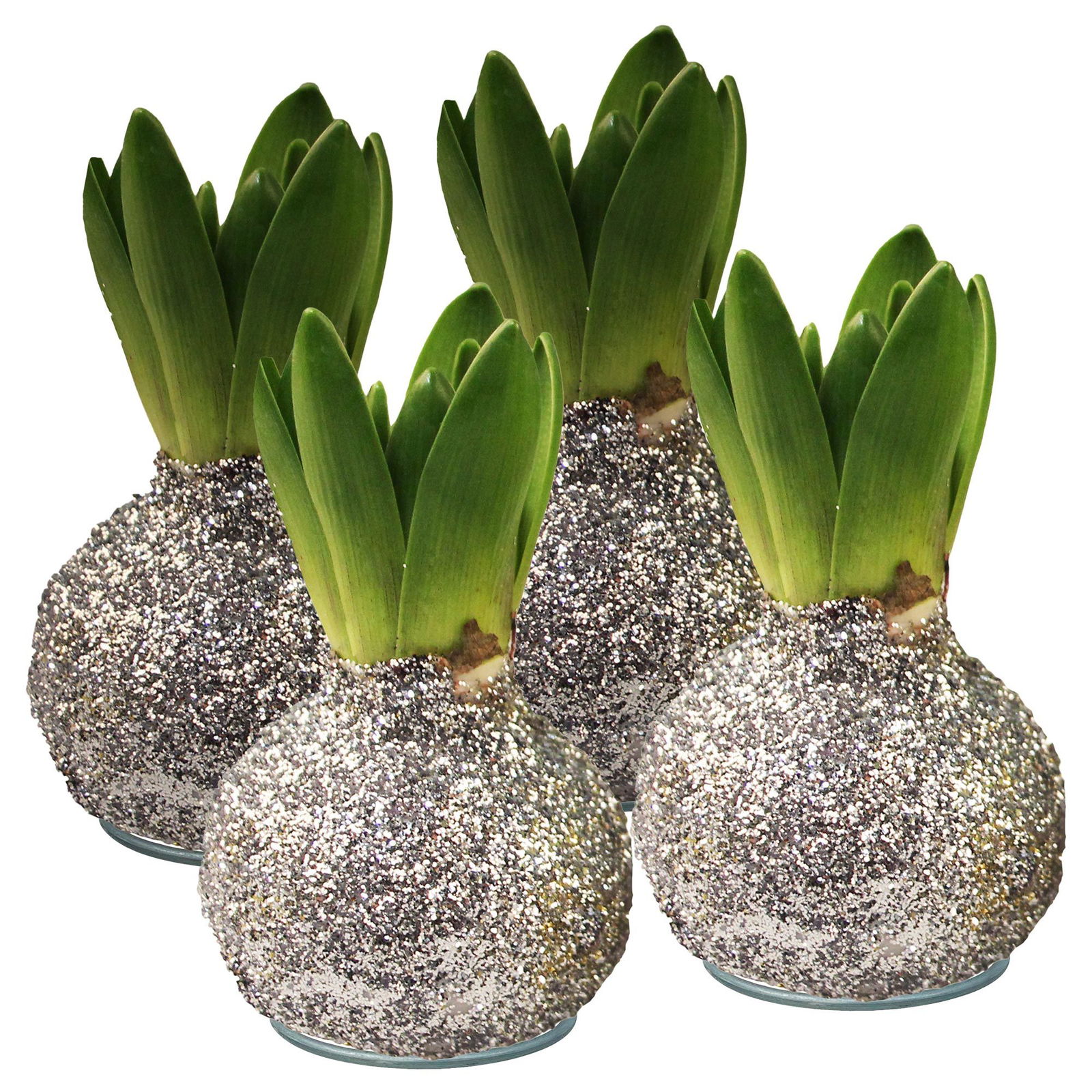 Hyazinthe in Wachs Glitter Metallic silber, 4er-Set