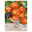 Sperli Gemüsesamen, Chili 'Habanero Orange'