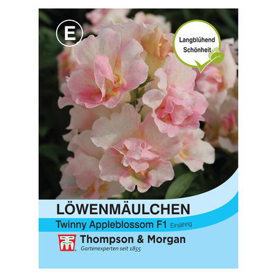 Löwenmaul (Antirrhinum) Twinny Appleblossom F1 / Hybride einjährig  Löwenmaul (Antirrhinum) Twinny Appleblossom F1 / Hybride einjährig