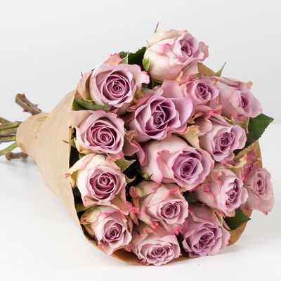 15 lila Rosen 'Memory Lane' 15 lila Rosen 'Memory Lane'