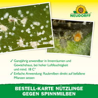 Neudorff Bestell-Set Nützlinge gegen Spinnmilben, für bis zu 10 m² Neudorff Bestell-Set Nützlinge gegen Spinnmilben, für bis zu 10 m²
