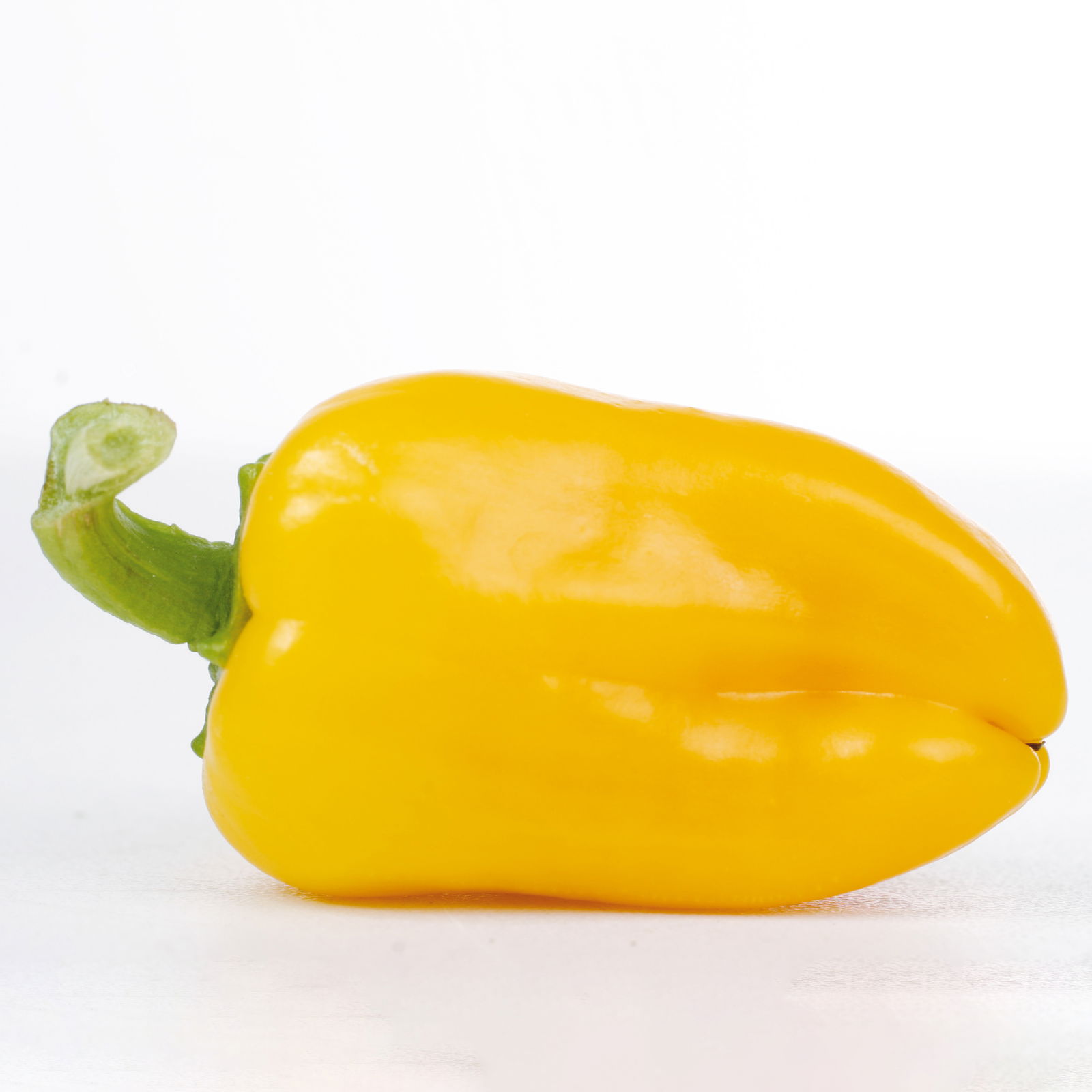 Snack-Paprika 'Midinor Red', 'Snackor Yellow', 'Snackor Orange' inkl. Greenbar®