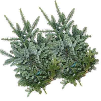 Nobilis Tannenzweige im Bund, Länge 60-90 cm, ca. 2,5 kg, 2 Bund