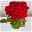 Blumenbund mit Rosen 'Red Naomi', 10er-Bund, rot, inkl. gratis Grußkarte