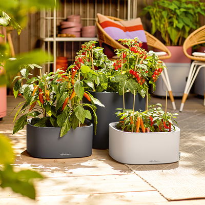 Lechuza 'Pila Color', lichtgrau, ca. 35 x 35 x H 16,5 cm Lechuza 'Pila Color', lichtgrau, ca. 35 x 35 x H 16,5 cm