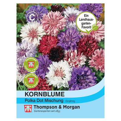 Samenmischung Kornblume 'Polka Dot'