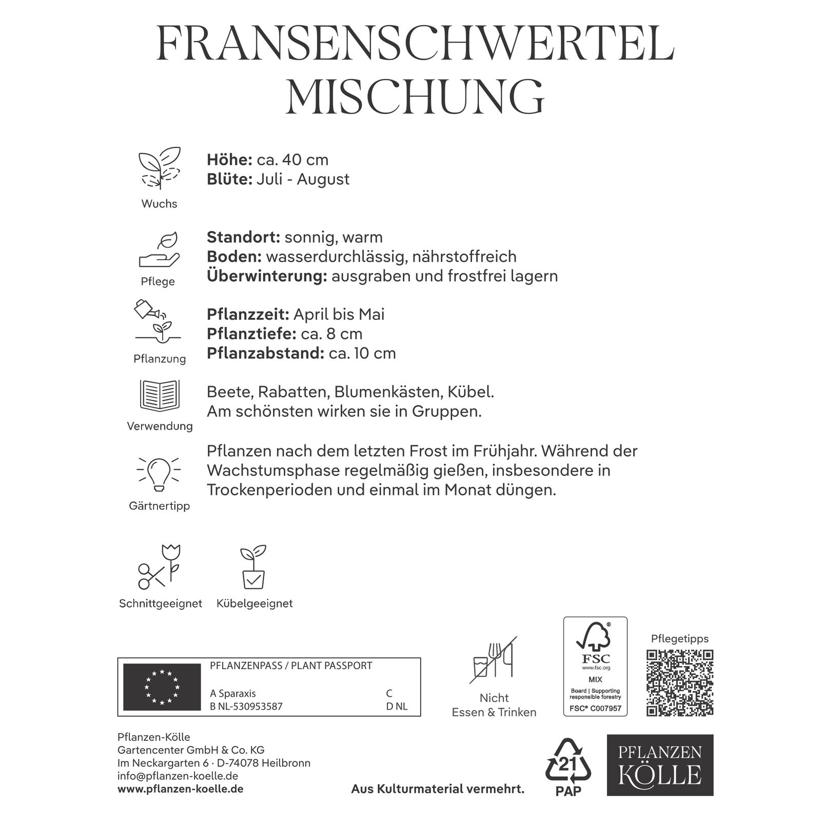 Kölles Beste Blumenzwiebeln, Fransenschwertel 'Mischung'