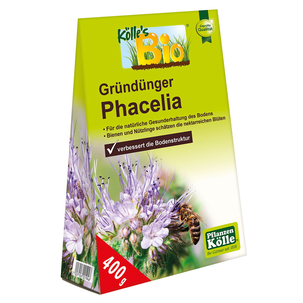 Kölle Bio Gründünger Phacelia, 500 g