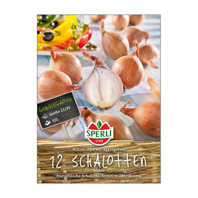 Französische Schalotten 'Mikor', gelb, 10 Zwiebeln