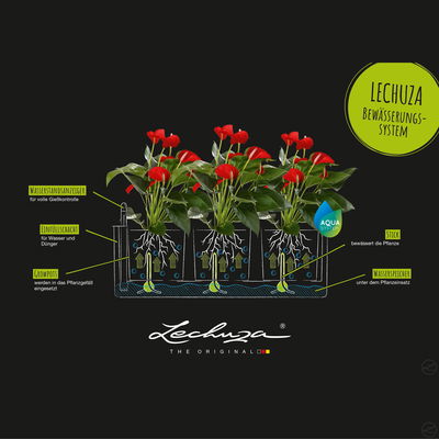 Lechuza 'Cube Color Triple', sandbraun, ca. 40 x 14 x H 13,5 cm