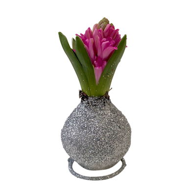 Hyazinthe in Wachs Glitter Metallic silber, 4 Stück