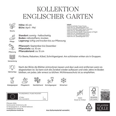 Tulpenmischung 'Englischer Garten', weiß, Größe 12+, 25 Blumenzwiebeln Tulpenmischung 'Englischer Garten', weiß, Größe 12+, 25 Blumenzwiebeln