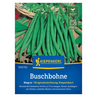 Saatgut Buschbohne 'Negra'