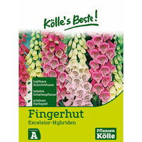 Kölle's Beste Blumensamen Fingerhut (Digitalis Excelsior)
