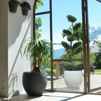 Eda Pflanzgefäß 'Graphit Egg', anthrazit, ca. Ø 50 x H 45 cm Eda Pflanzgefäß 'Graphit Egg', anthrazit, ca. Ø 50 x H 45 cm