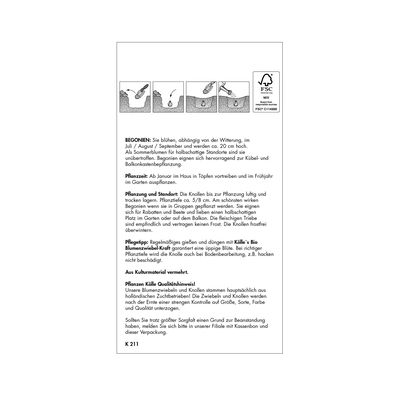 Hängebegonie, gelb, 3 Blumenknollen Hängebegonie, gelb, 3 Blumenknollen