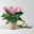 Lisianthus, rosa, Topf-Ø 10,5 cm, 6 Pflanzen