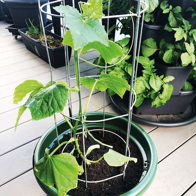 Gurkenturm, verzinkt, H120 x Ø20 cm