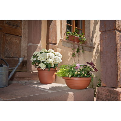 Scheurich Pflanzschale 'Country Star', terrakotta, ca. Ø 29 x H 11 cm