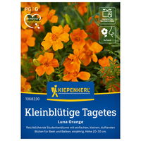 Blumensamen, Studentenblume 'Luna Orange', orange