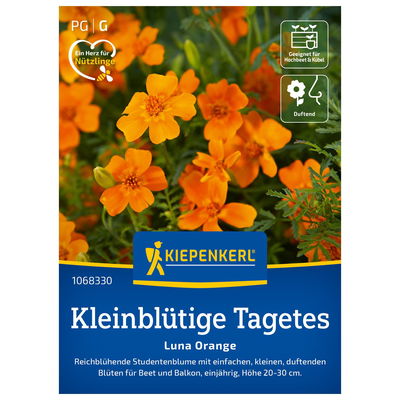 Blumensamen, Studentenblume 'Luna Orange', orange Blumensamen, Studentenblume 'Luna Orange', orange